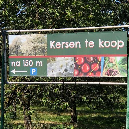 Gastenverblijf Op De Prins Hendrik Hoeve In Buren Buren  Extérieur photo
